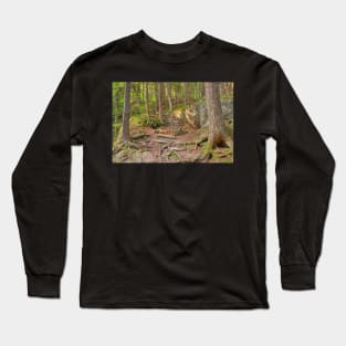 Green Mountain Forest Trail Long Sleeve T-Shirt